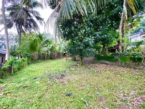 150m Just for Digana Maheyanganaya Main Road Land