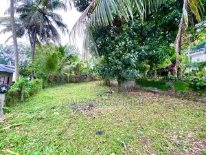 150m Just for Digana Maheyanganaya Main Road Land