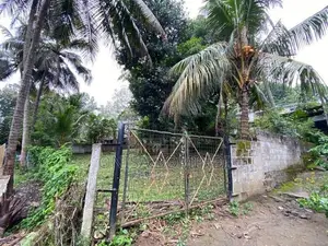 150m Just for Digana Maheyanganaya Main Road Land