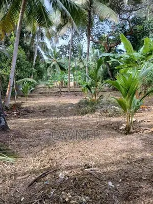 ගුවන් තොටුපලට සහ මීගමුව නගරයට මැදිව වටිනා ඉඩමක් විකිනීමට ඇත