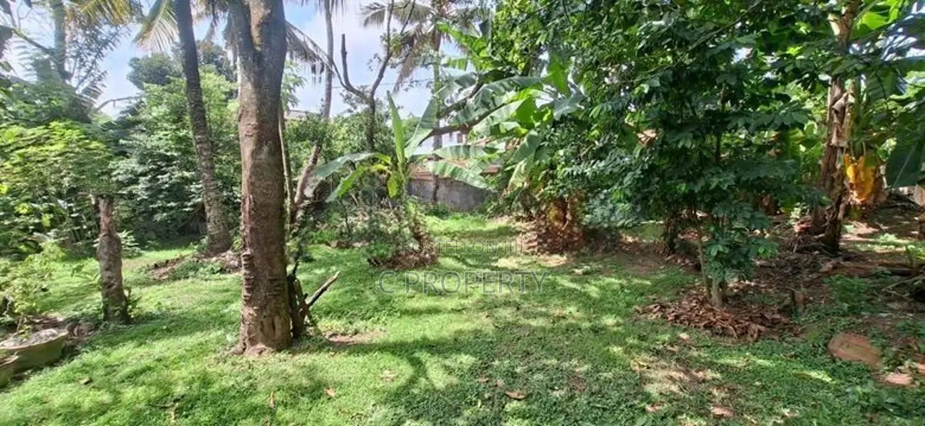 Land for Sale Boralesgamuwa Katuwawala