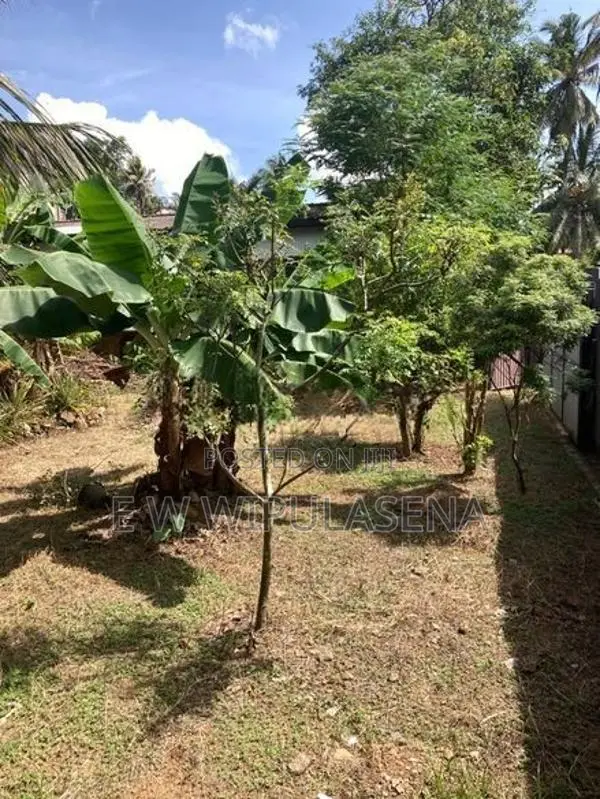 18 PERCH LAND FOR SALE in PANNIPITIYA