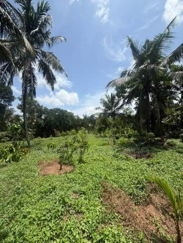 Gampaha Land for Sale