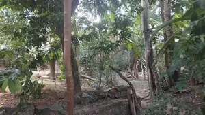 Land for Sale in Ganemulla