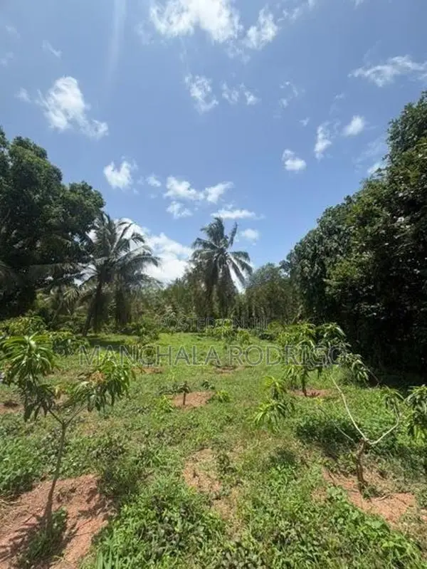 Gampaha Land for Sale