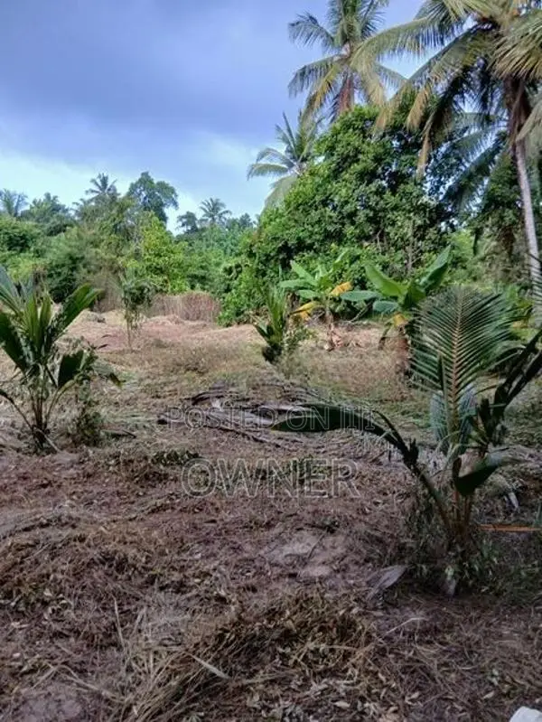 ගුවන් තොටුපලට සහ මීගමුව නගරයට මැදිව වටිනා ඉඩමක් විකිනීමට ඇත