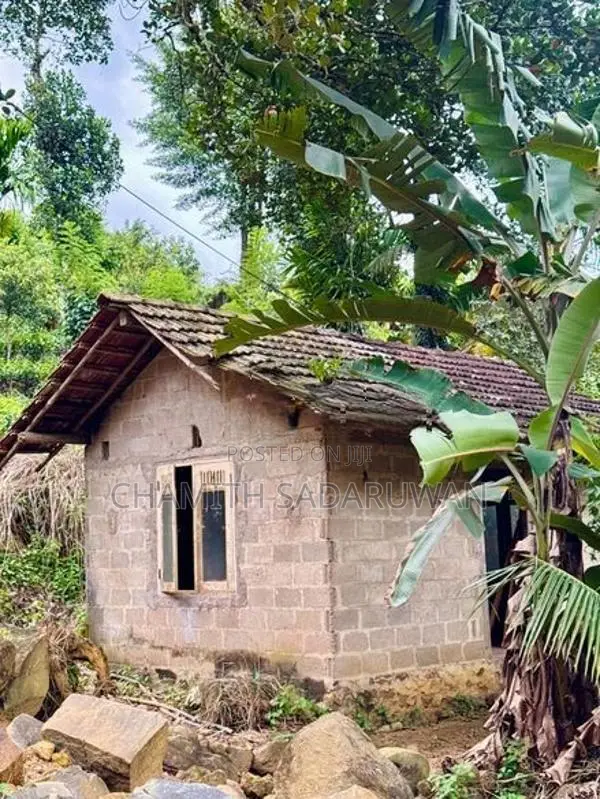 තේ ඉඩමක් සමග නිවසක් Pitigala