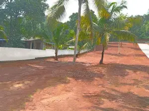 Scenic Land for Sale in Dambadeniya ,Facing Paddy Fields H06