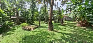 Land for Sale Boralesgamuwa Katuwawala