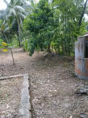 ගුවන් තොටුපලට සහ මීගමුව නගරයට මැදිව වටිනා ඉඩමක් විකිනීමට ඇත