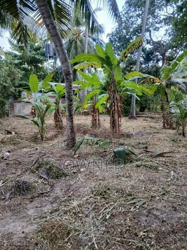ගුවන් තොටුපලට සහ මීගමුව නගරයට මැදිව වටිනා ඉඩමක් විකිනීමට ඇත
