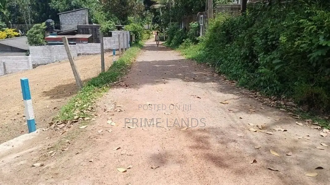 සුන්දර වෙල්යායකට මායිම්ව කඩවත වෑබඩ පාරේන් වටිනා බිම් කොටස්
