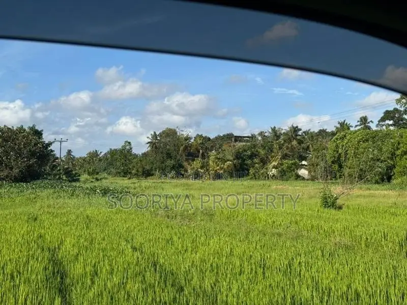 80P. COMMERCIAL LAND FOR RENT IN PILIYANDALA