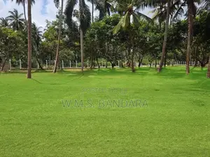 Mellawagedara Road Facing Land
