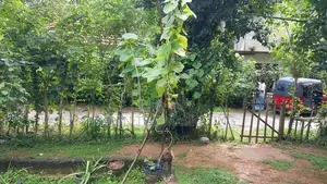 House for Sale in Matara