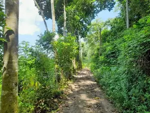 Land for Sale - Elpitiya