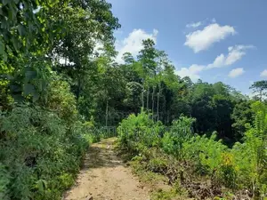 Land for Sale - Elpitiya