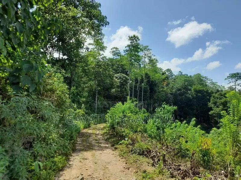 Land for Sale - Elpitiya