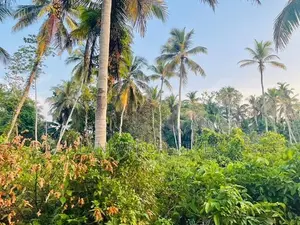 Valuable Commercial cum Residential Lands for Sale – Bentota.