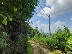 Land for Sale - Elpitiya