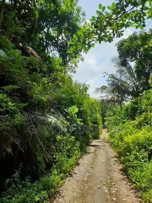 Land for Sale - Elpitiya