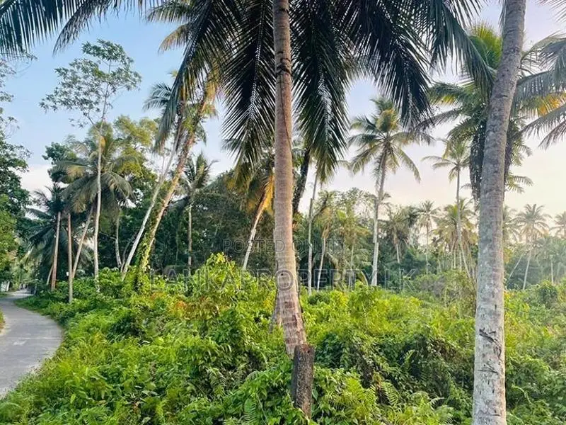 Valuable Commercial cum Residential Lands for Sale – Bentota.