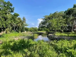 Land for Sale in Unawatuna