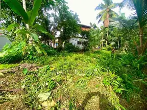 ( IS-1115) Valuable Residential Bare Land Sale in Homagama