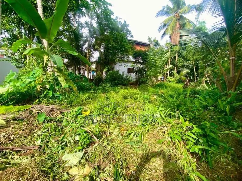 ( IS-1115) Valuable Residential Bare Land Sale in Homagama