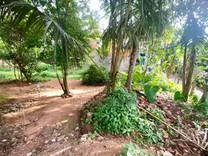 ( IS-1115) Valuable Residential Bare Land Sale in Homagama