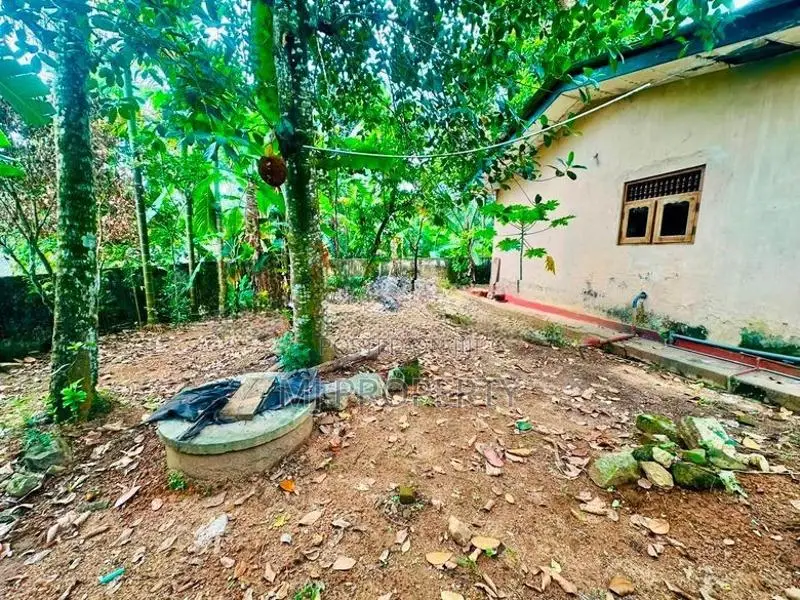 ( IS-1057) Valuable Single Storey House Sale in Homagama
