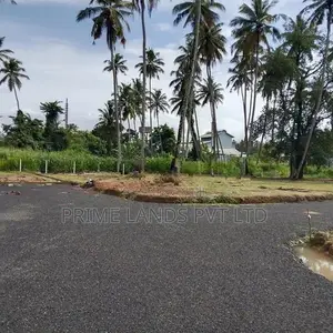 කුරුණෑගලට විනාඩි 5 යි පැල්ලන්දෙණිය ඉඩම