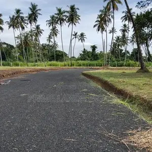 කුරුණෑගලට විනාඩි 5 යි පැල්ලන්දෙණිය ඉඩම