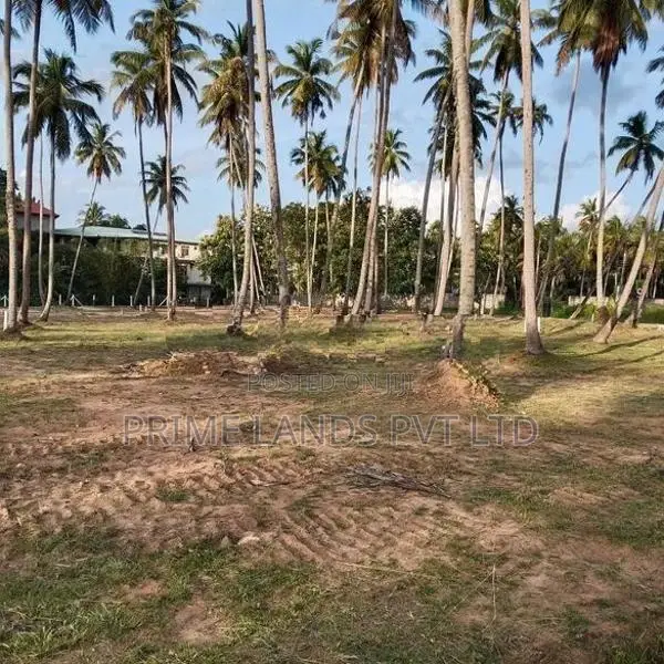 කුරුණෑගලට විනාඩි 5 යි පැල්ලන්දෙණිය ඉඩම