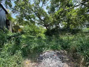 HIGHLY RESIDENTIAL LAND FOR SALE IN PILIYANDALA