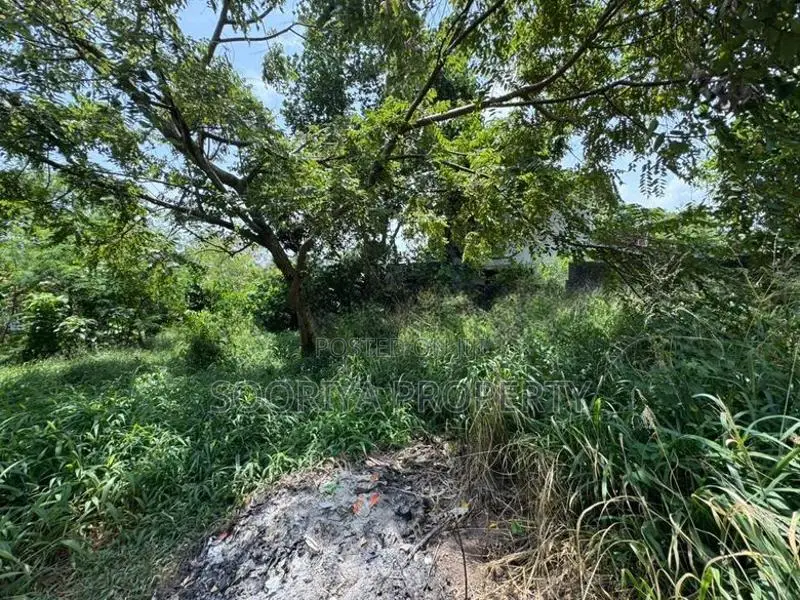 HIGHLY RESIDENTIAL LAND FOR SALE IN PILIYANDALA
