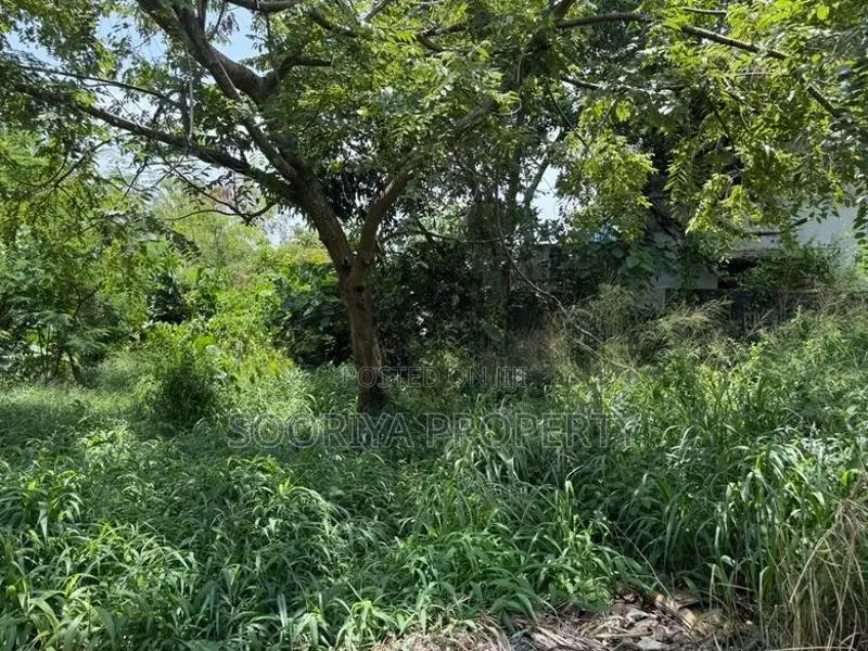 HIGHLY RESIDENTIAL LAND FOR SALE IN PILIYANDALA