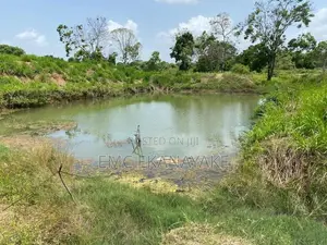 Land for Sale Nithalawa , Galgomuwa