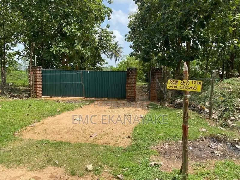 Land for Sale Nithalawa , Galgomuwa