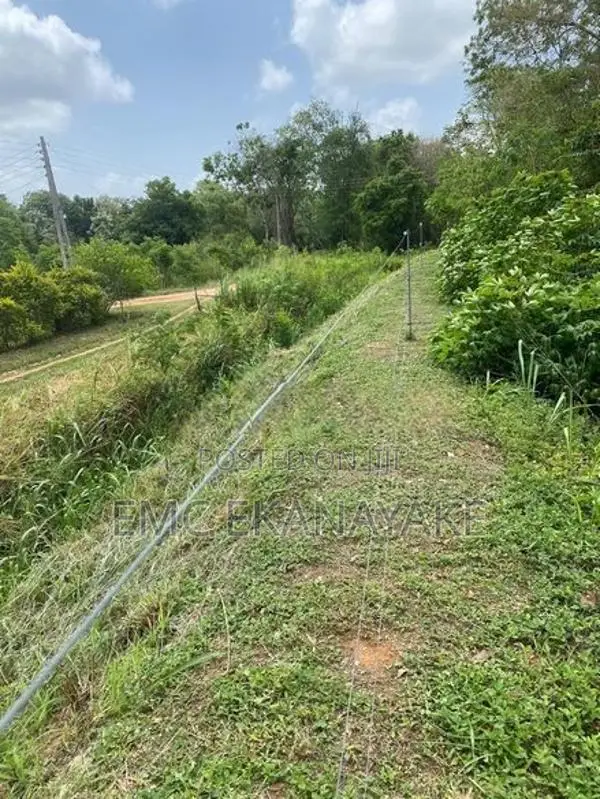 Land for Sale Nithalawa , Galgomuwa