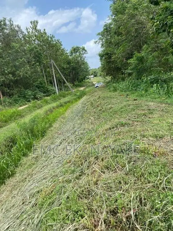 Land for Sale Nithalawa , Galgomuwa