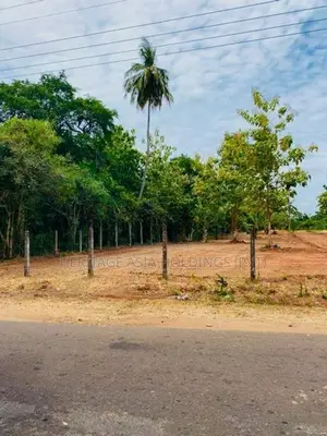 රුවන්වැලිසෑයට 4km දුරින් සින්නක්කර බිම් කොටස්