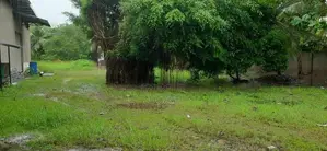 Land for Sale in Negombo