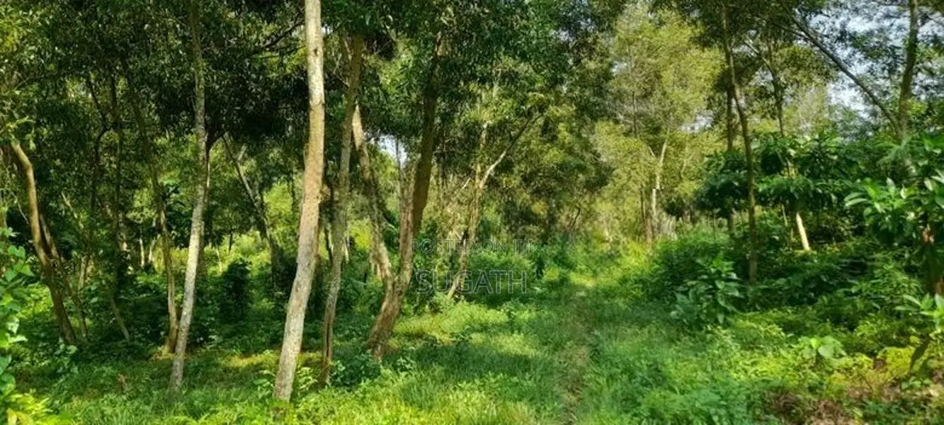 Land for Sale in Ja Ela