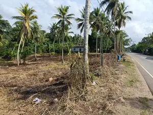 Main Road Facing Commercial Land for Sale – Padukka