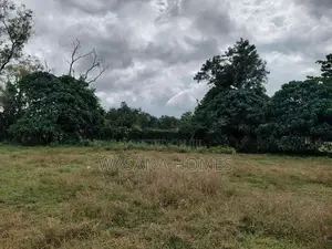 Paddy Field Facing Land for Sale Battaramulla