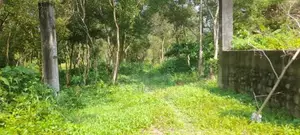 Land for Sale in Ja Ela
