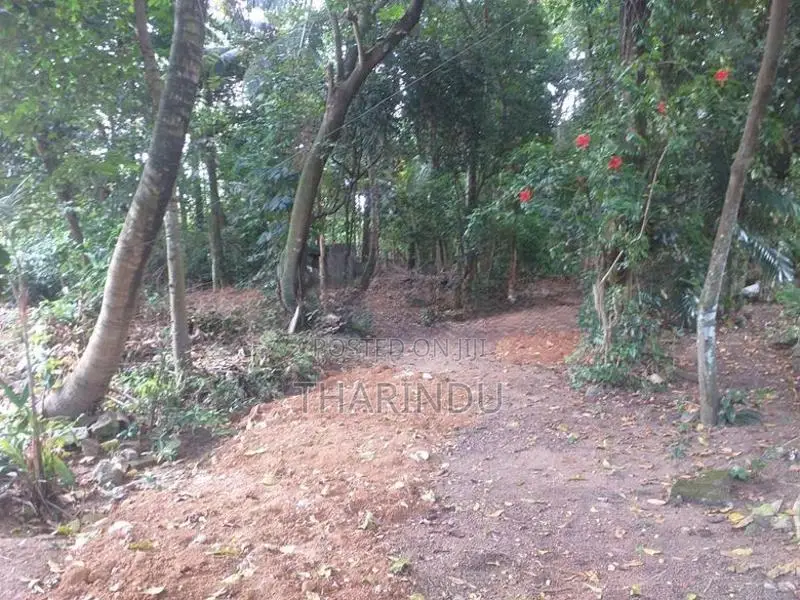 Land for Rent Kelaniya