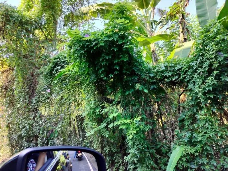 Land for Sale – Thalawatugoda