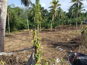 Main Road Facing Commercial Land for Sale – Padukka